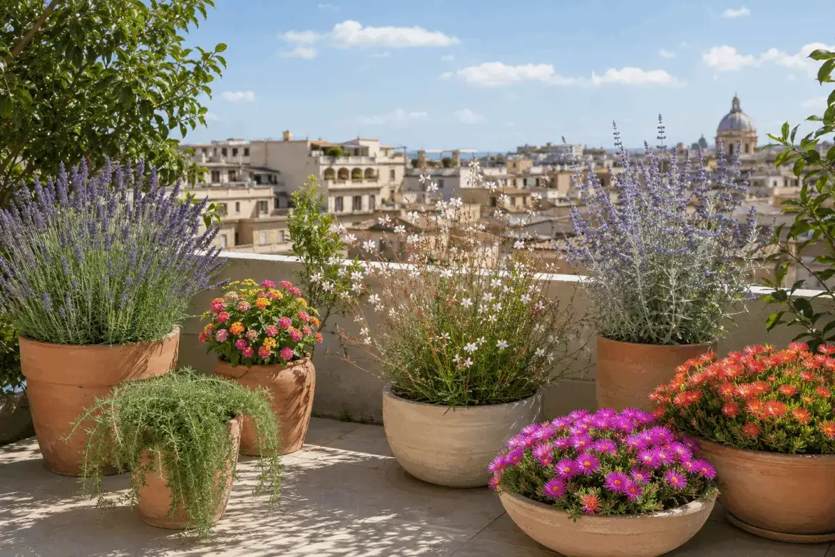 Piante resistenti al sole forte - quali scegliere e come curarle