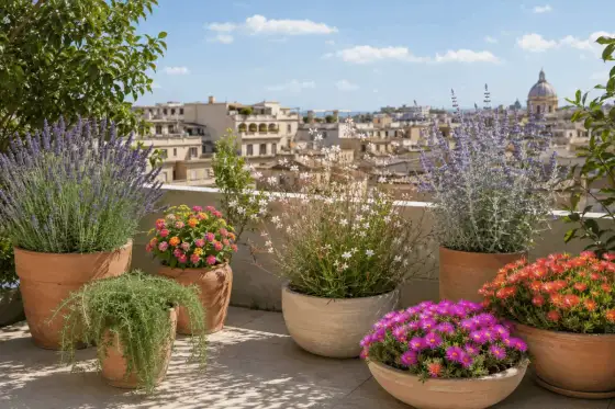 Piante resistenti al sole forte - quali scegliere e come curarle